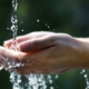 Mela Cannella Erboristeria Novara - Il potere dell'acqua